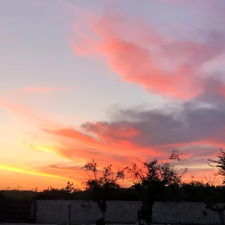 Murgia Bed and Breakfast Terlizzi